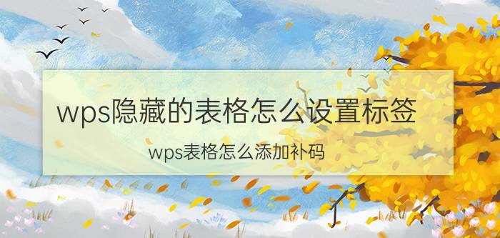 wps隐藏的表格怎么设置标签 wps表格怎么添加补码？